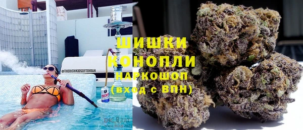 крисы Наволоки