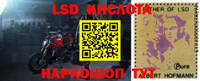 спайс Донской