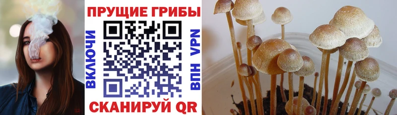 Псилоцибиновые грибы Psilocybe  блэк спрут ССЫЛКА  мориарти наркотические препараты  купить  цена  Усолье-Сибирское 